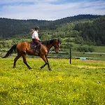 Rancho Adama - Wypoczynek W Sercu Beskidow! 홀리데이파크