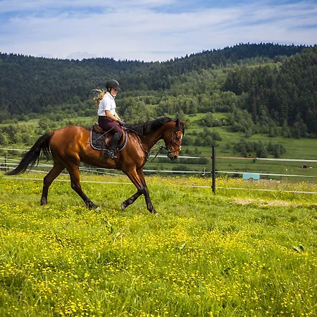 Rancho Adama - Wypoczynek W Sercu Beskidow! Vakantiepark