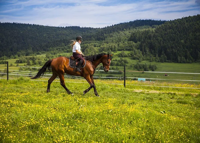 Rancho Adama - Wypoczynek W Sercu Beskidow! Prázdninový areál